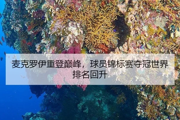 麦克罗伊重登巅峰，球员锦标赛夺冠世界排名回升