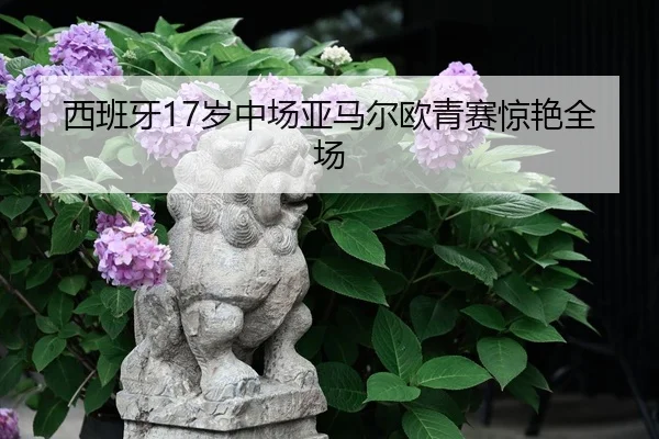 xi-ban-ya-sui-zhong-chang-ya-ma-er-ou-qing-sai-jing-yan-quan-chang-3-684.jpg